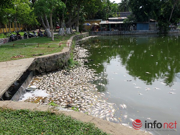 infonet_ca_chet_cong_vien_anh2