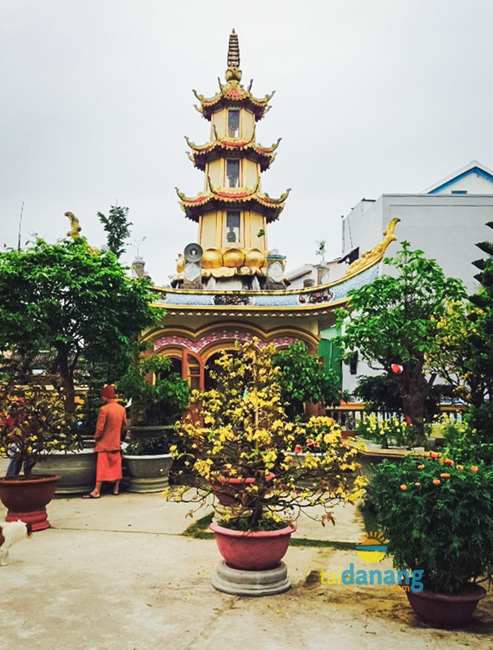 Dau nam vieng chua cau may