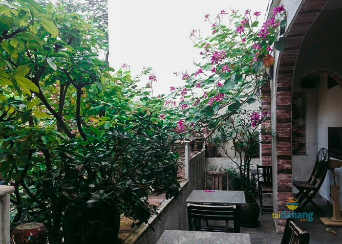 tong hop cafe xuyen Tet 2017