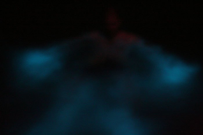 Vinh Bioluminescent – fajardo, puerto rico