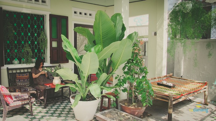 mo hostel da nang