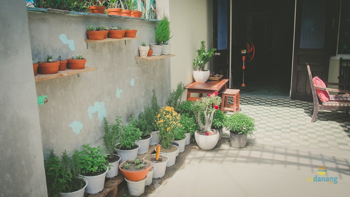 mo coffee da nang