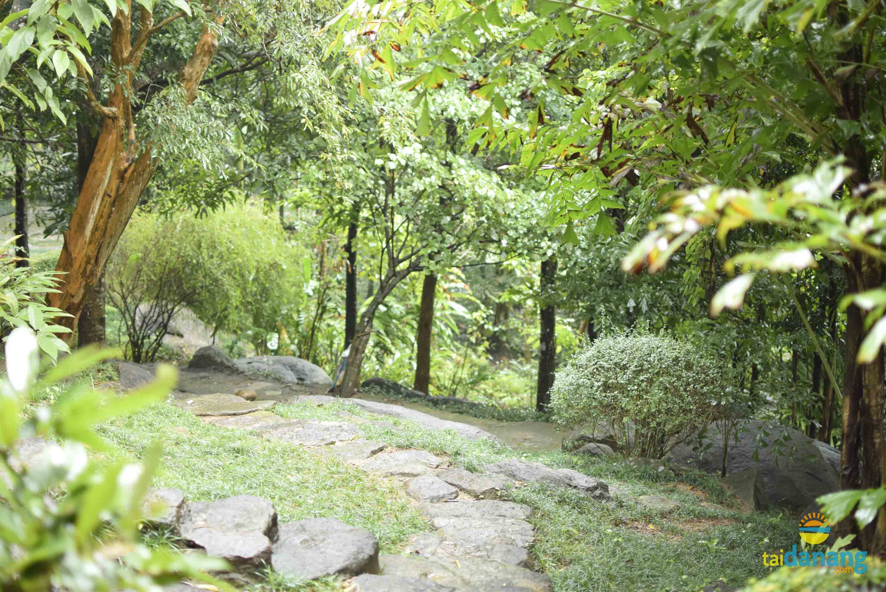 duong di chu yeu duoc xay dung bang da khoi