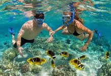 Tour lặn ngắm san hô Đà Nẵng 2024 Siêu Khuyến Mãi